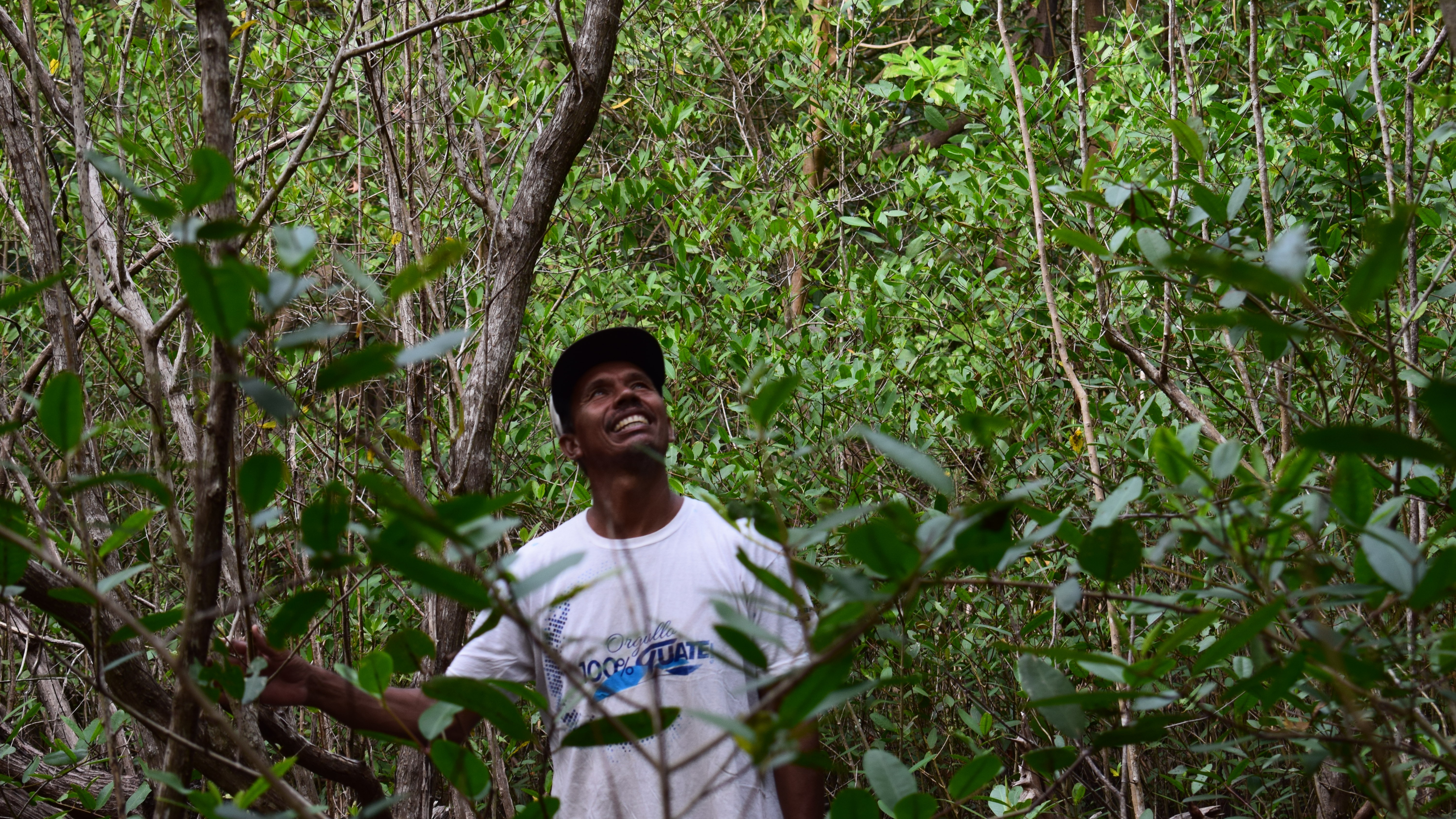 Webinar: Roadmaps for scaling up Ecosystem-based Adaptation