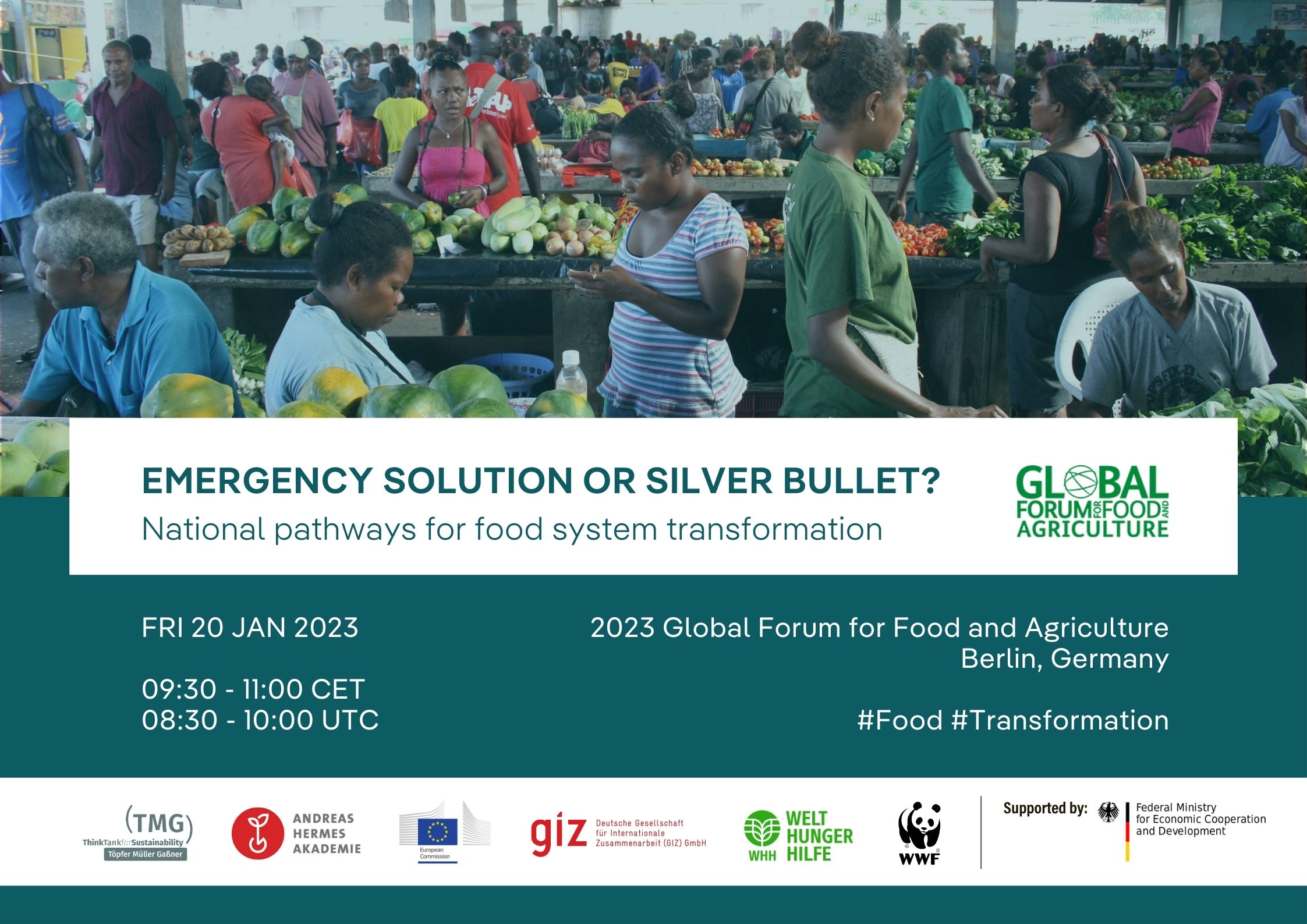 Emergency solution or silver bullet? National pathways for food system transformation