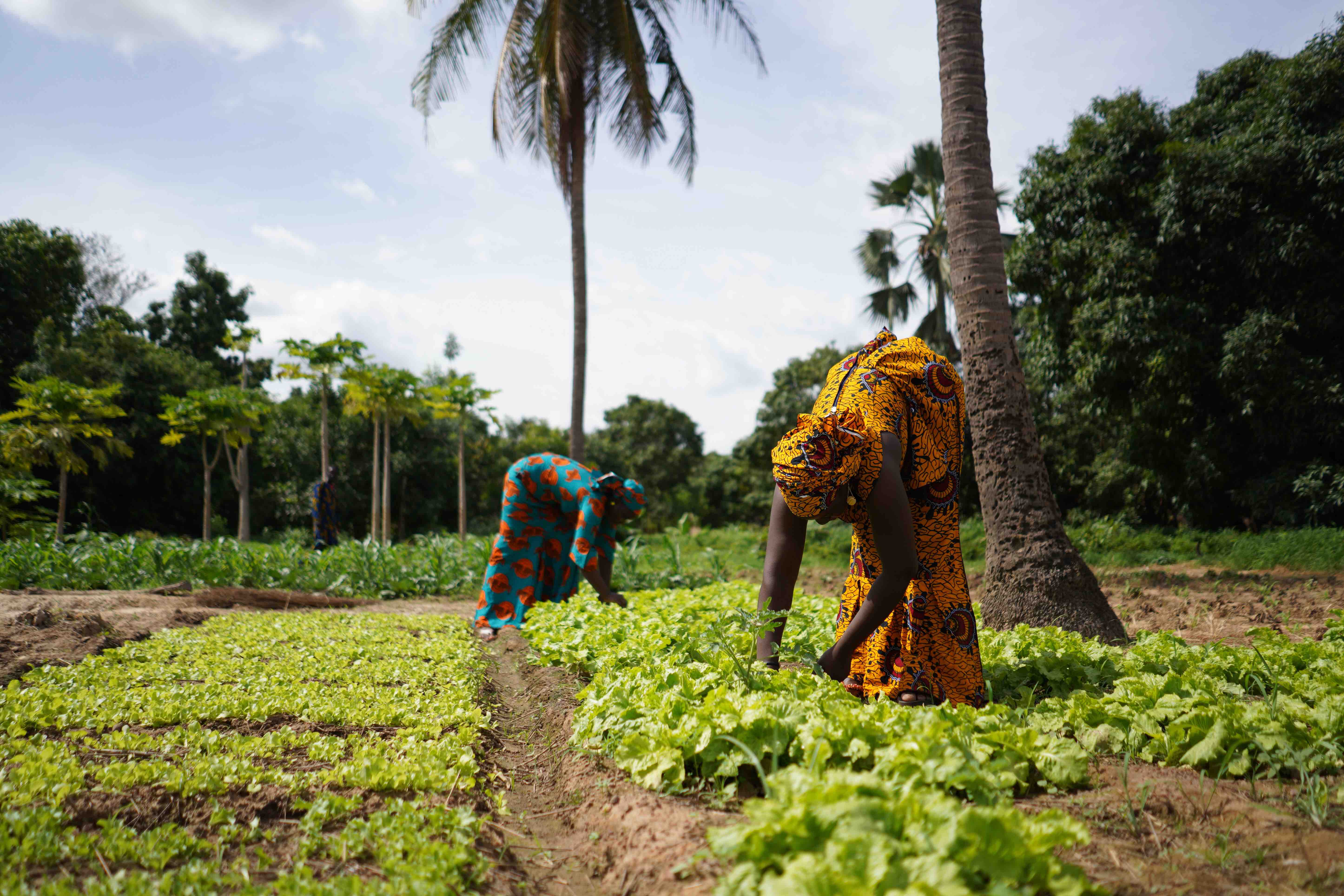 Towards globally fair biodiversity conservation 