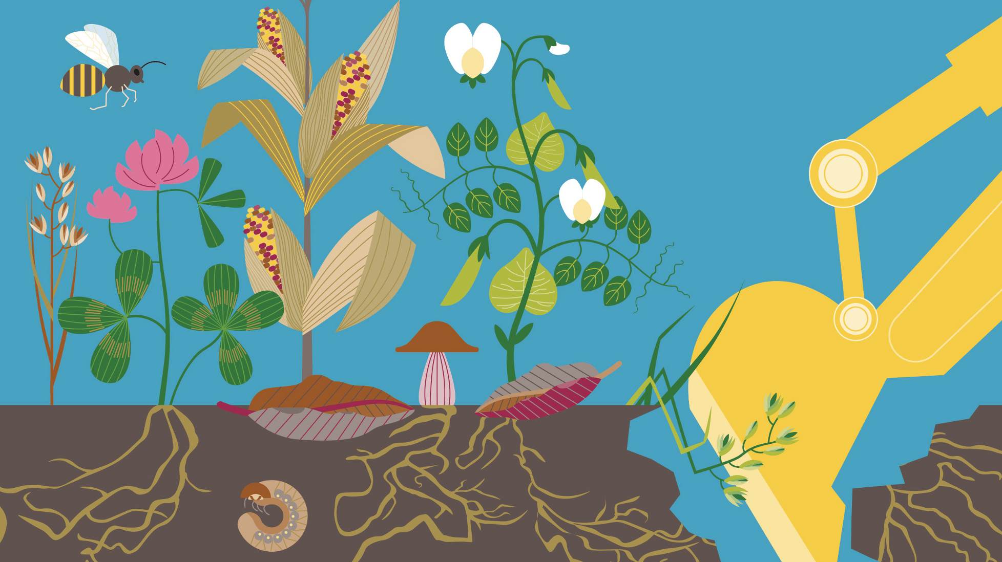 Launch of the Soil Atlas 2024