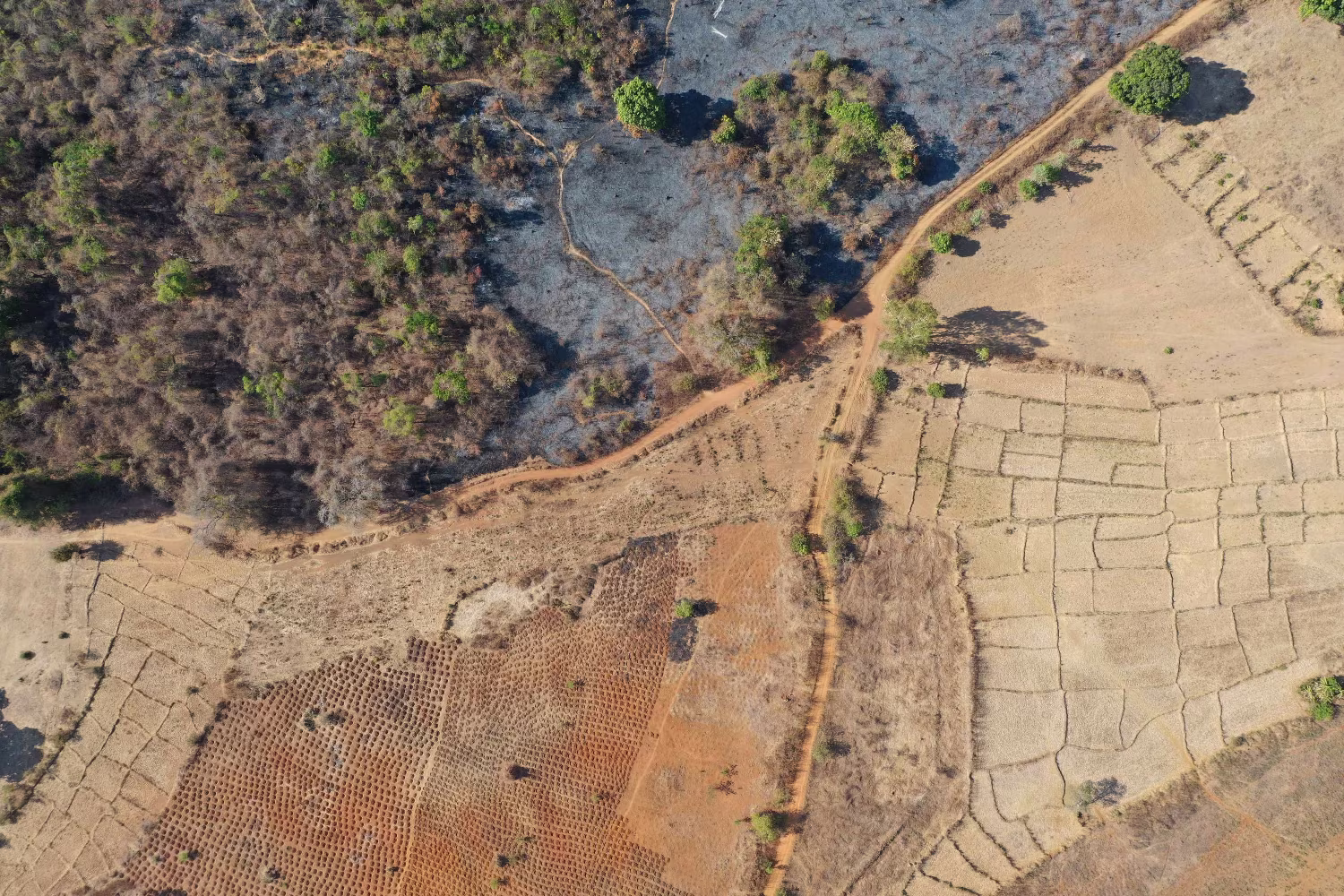 The State of Land Degradation Neutrality in Madagascar