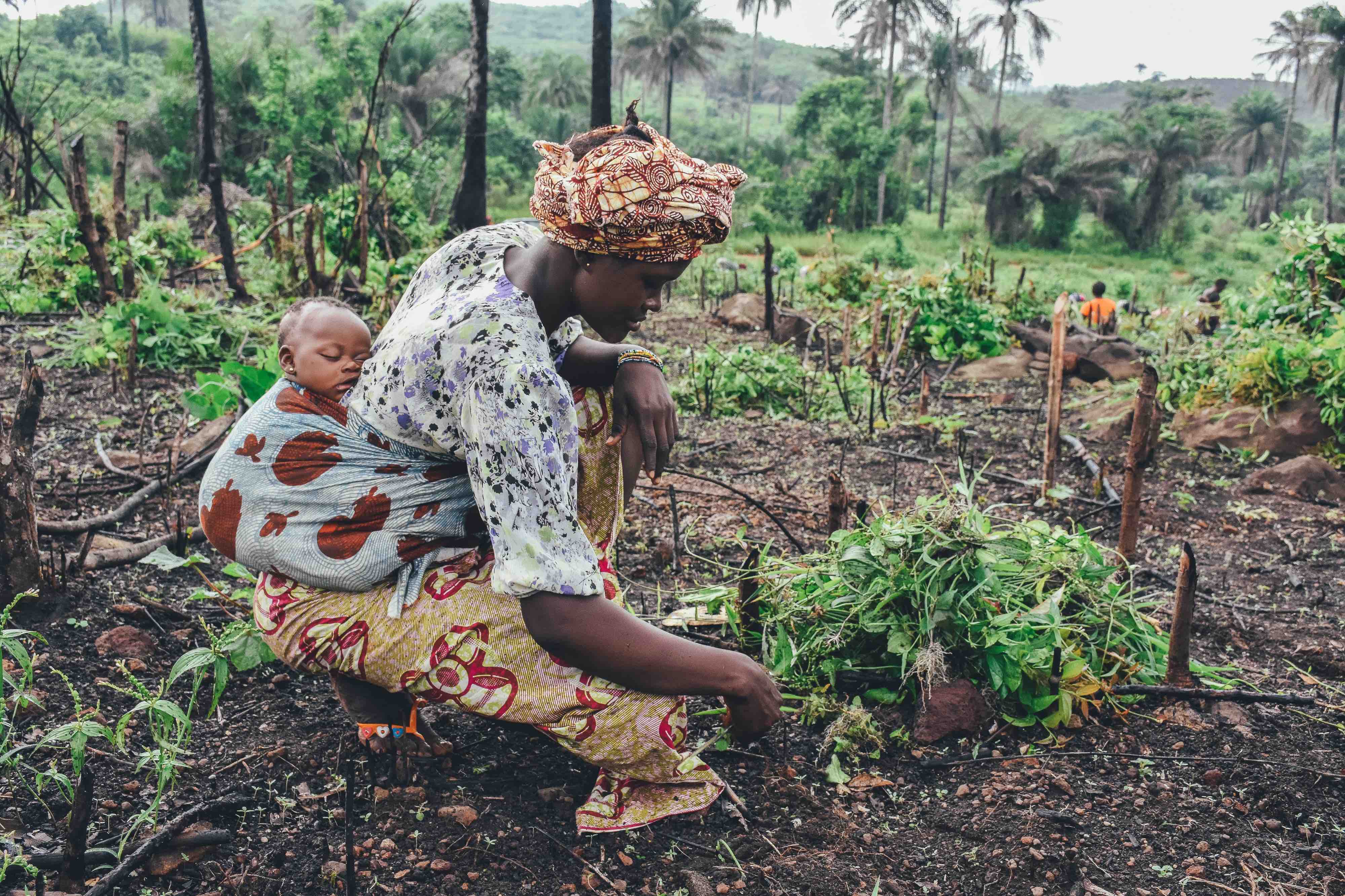 Secure Land Rights to Restore Nature and Improve Livelihoods for All