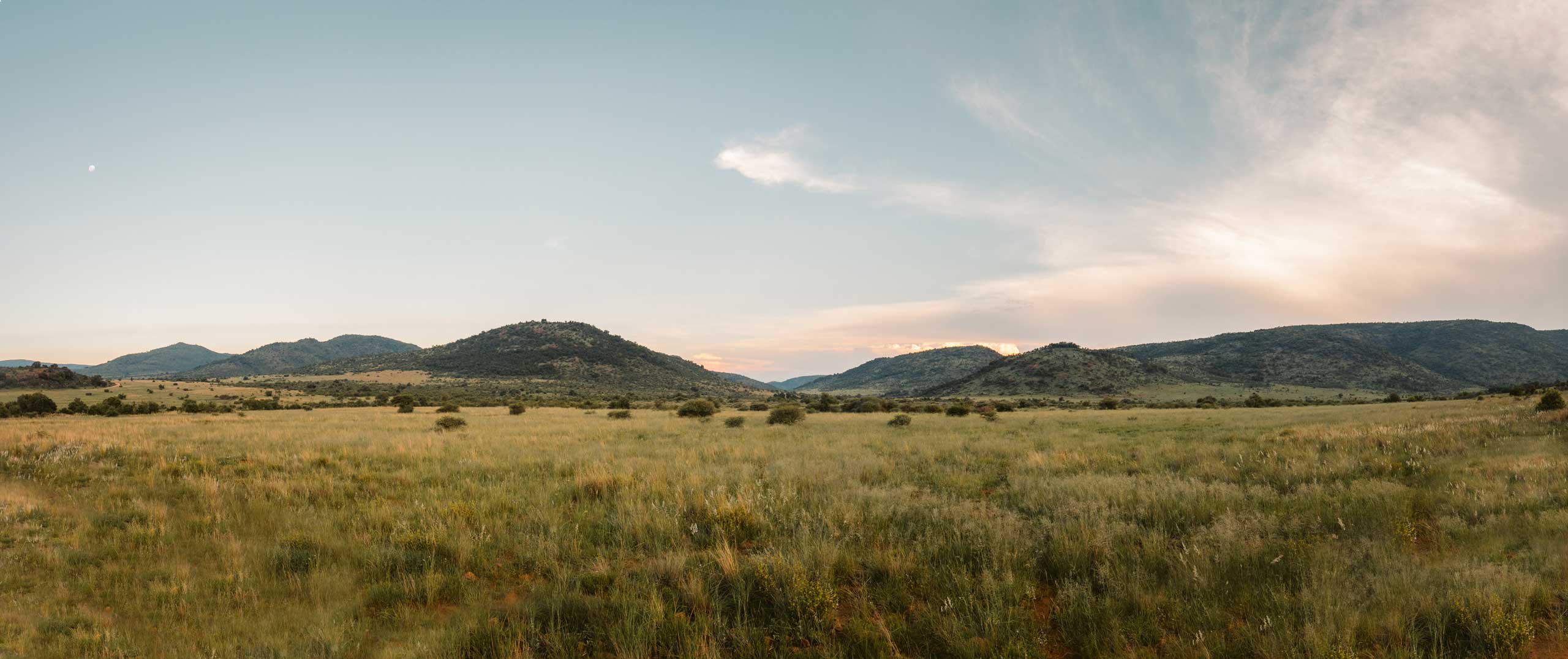 Land Governance