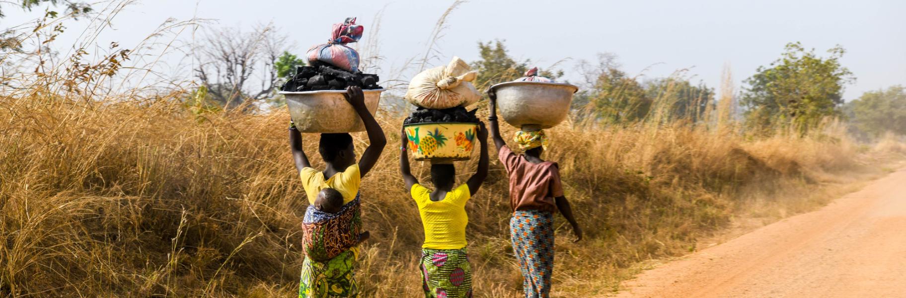 Without Land Justice and Social Equity, Carbon Markets Will Fail