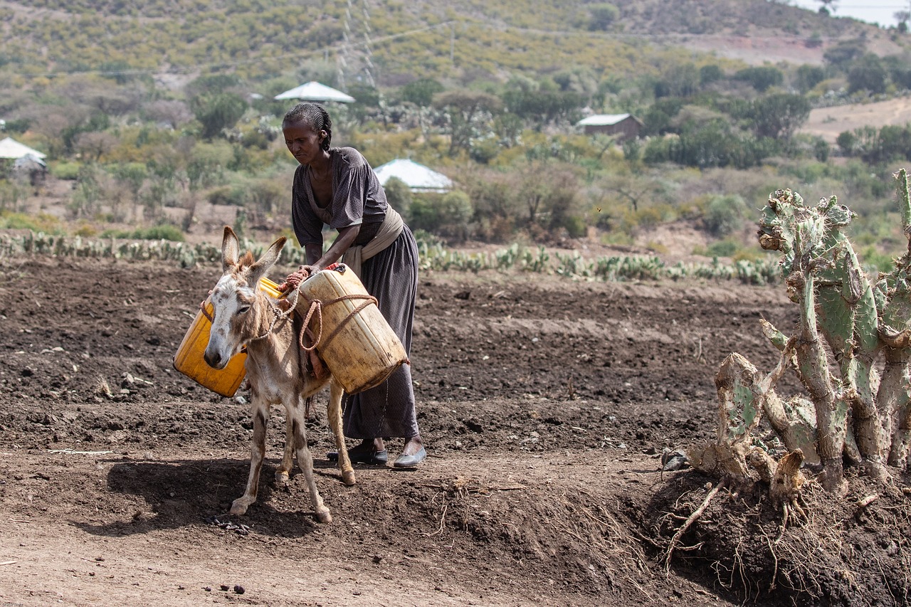 The power of human rights to protect tenure rights