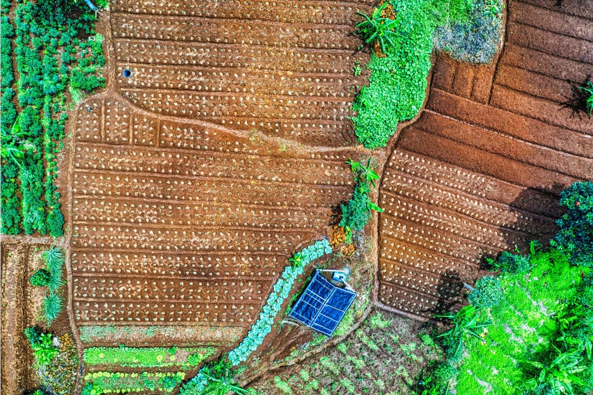 Strengthening land rights for a sustainable future: pathways to climate justice at COP16