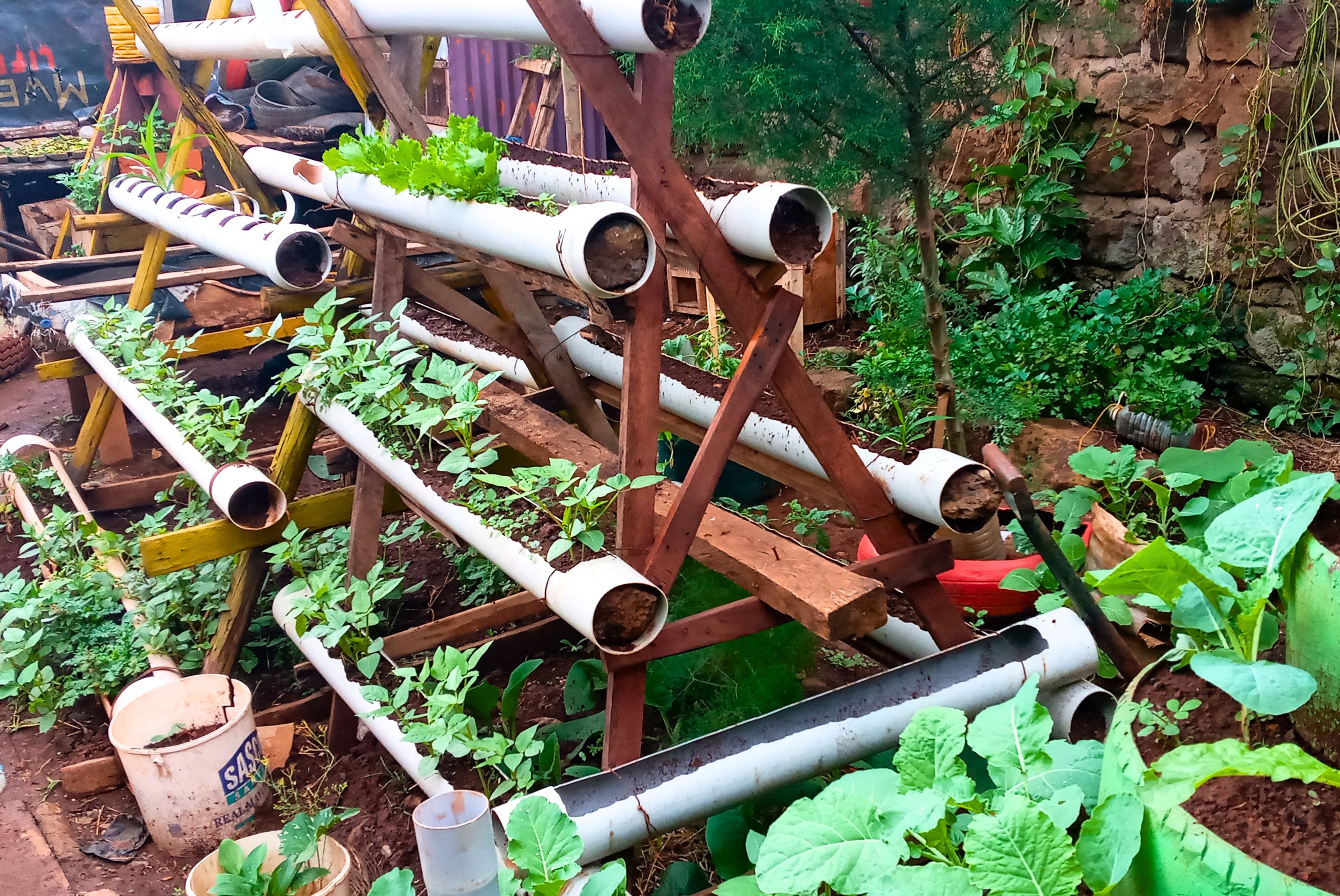 Controlled environment agriculture