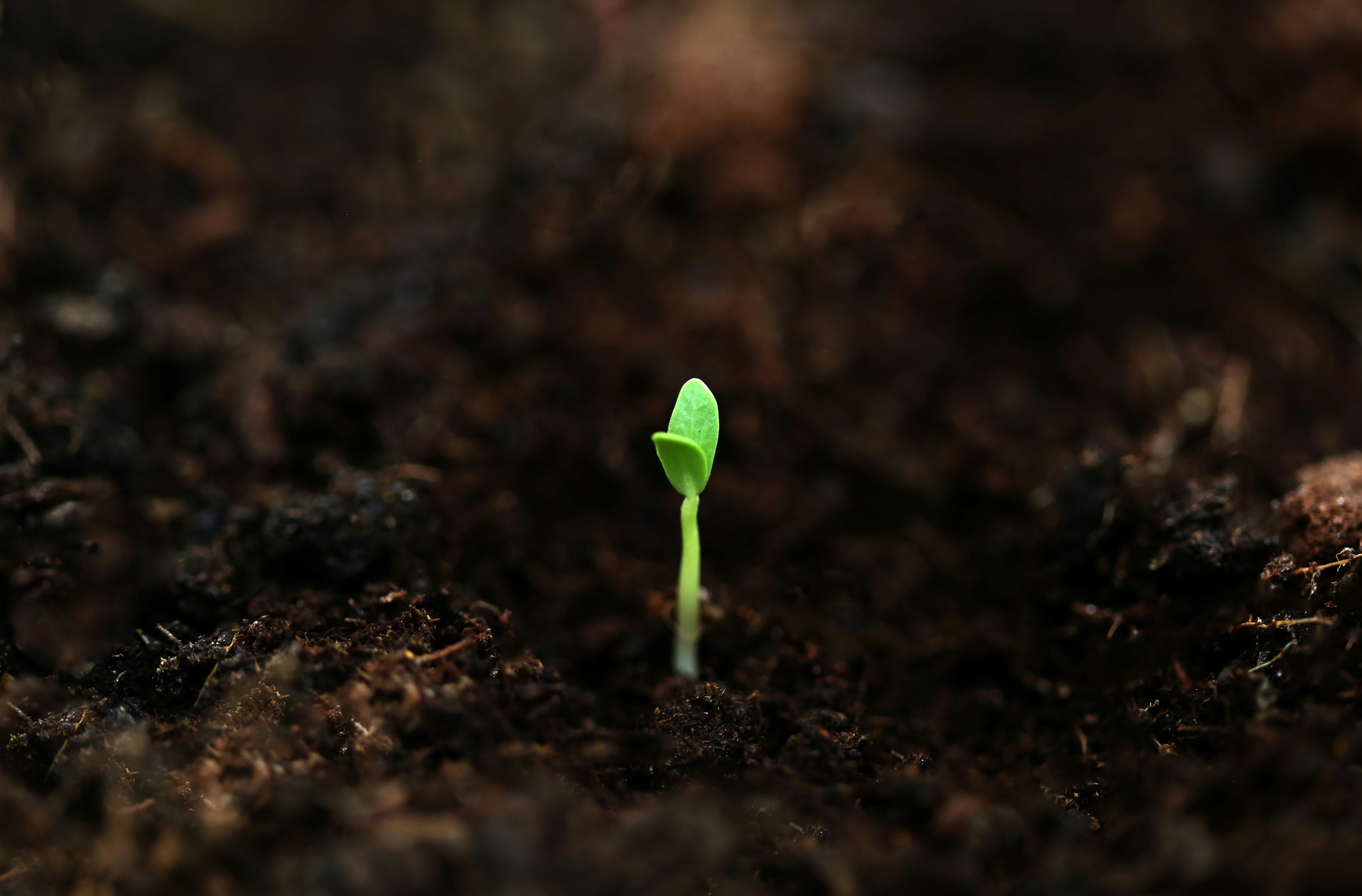 Agroecology