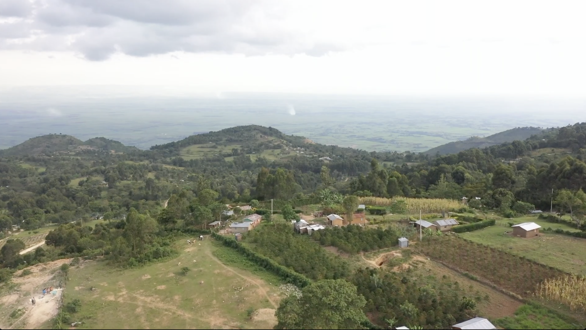 Land Leasing Guidelines: Peace of Mind with a Secure Piece of Land