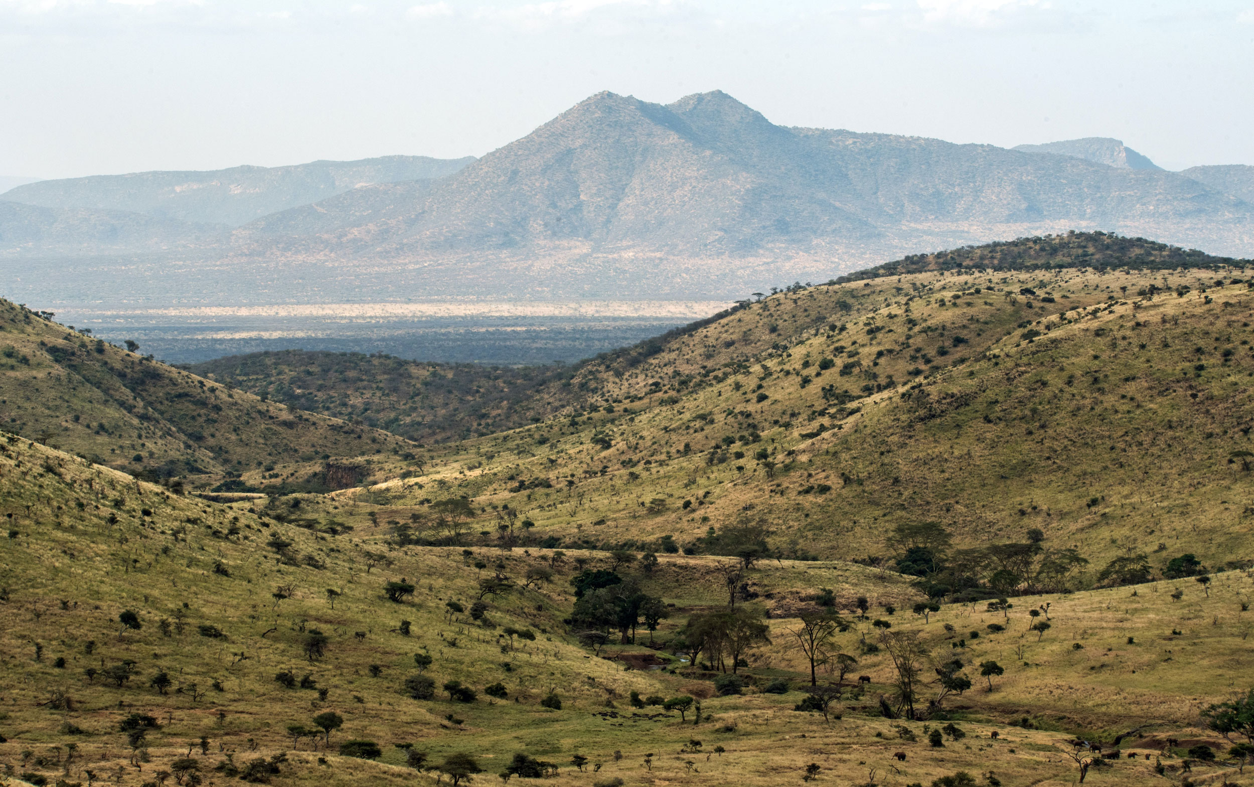 It starts with people: The human rights imperative for achieving large-scale restoration targets